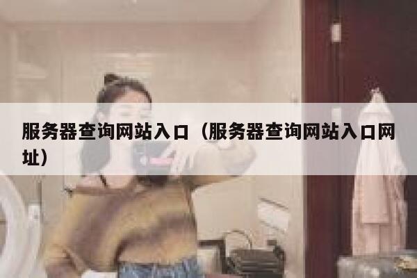 服务器查询网站入口（服务器查询网站入口网址） 第1张