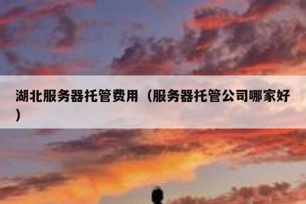 湖北服务器托管费用（服务器托管公司哪家好） 第1张