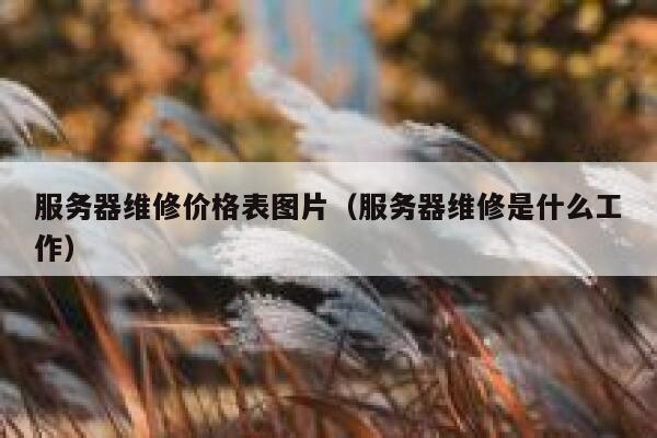 服务器维修价格表图片（服务器维修是什么工作） 第1张