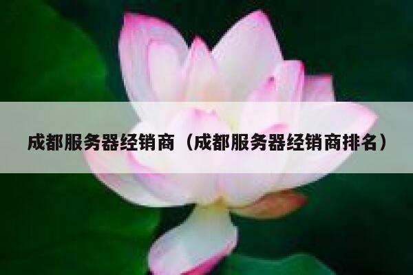 成都服务器经销商（成都服务器经销商排名） 第1张