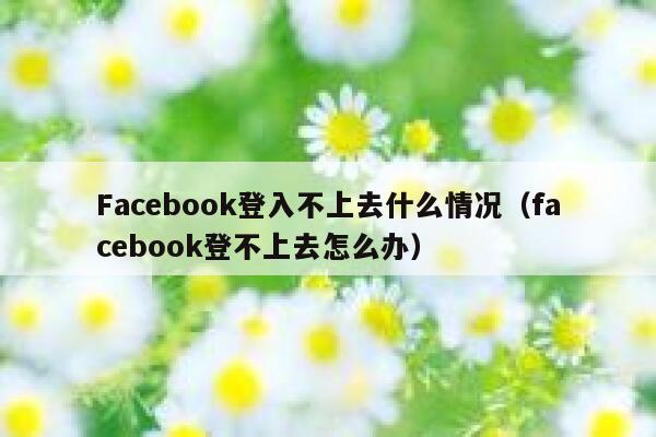 Facebook登入不上去什么情况（facebook登不上去怎么办） 第1张