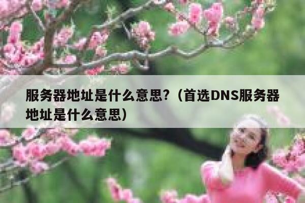 服务器地址是什么意思?（首选DNS服务器地址是什么意思） 第1张
