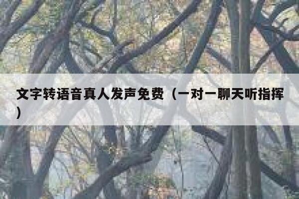 文字转语音真人发声免费（一对一聊天听指挥） 第1张