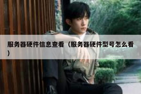 服务器硬件信息查看（服务器硬件型号怎么看） 第1张