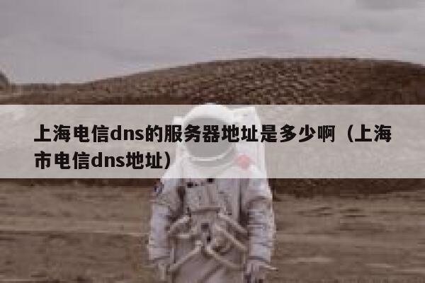 上海电信dns的服务器地址是多少啊（上海市电信dns地址） 第1张