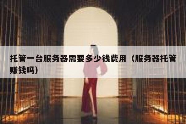 托管一台服务器需要多少钱费用（服务器托管赚钱吗） 第1张