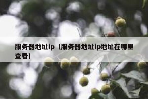服务器地址ip（服务器地址ip地址在哪里查看） 第1张