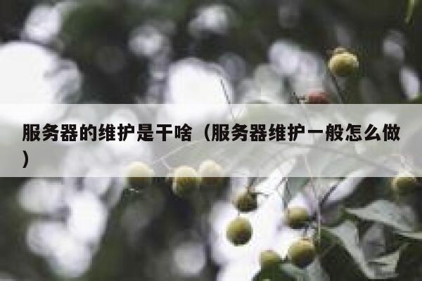 服务器的维护是干啥（服务器维护一般怎么做） 第1张