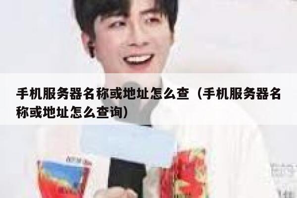手机服务器名称或地址怎么查(手机服务器名称或地址怎么查询) 第1张 手机服务器名称或地址怎么查(手机服务器名称或地址怎么查询) 第1张