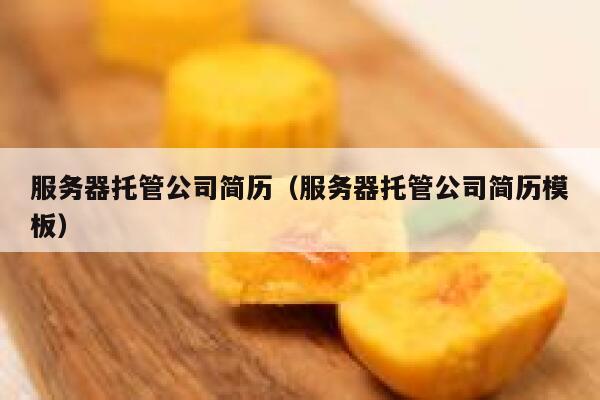 服务器托管公司简历(服务器托管公司简历模板) 第1张 服务器托管公司简历(服务器托管公司简历模板) 第1张