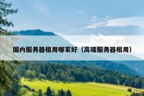 国内服务器租用哪家好(高端服务器租用) 第1张 国内服务器租用哪家好(高端服务器租用) 第1张