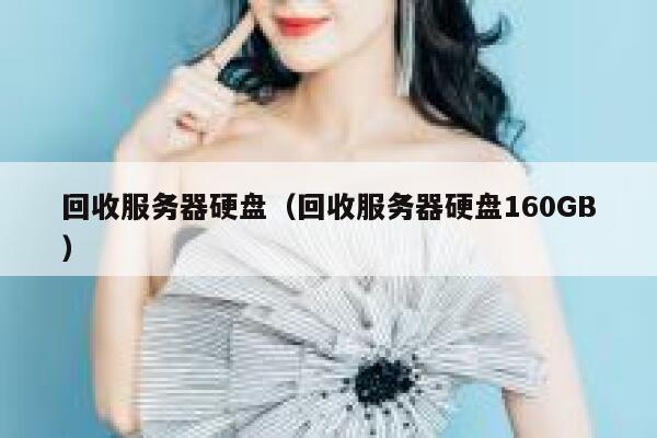 回收服务器硬盘（回收服务器硬盘160GB） 第1张