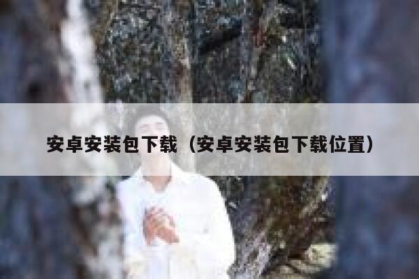 安卓安装包下载（安卓安装包下载位置） 第1张