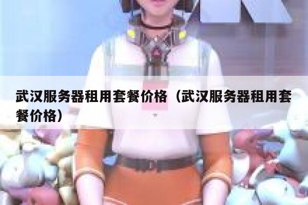 武汉服务器租用套餐价格(武汉服务器租用套餐价格) 第1张 武汉服务器租用套餐价格(武汉服务器租用套餐价格) 第1张