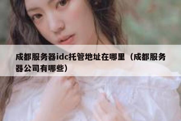 成都服务器idc托管地址在哪里（成都服务器公司有哪些） 第1张
