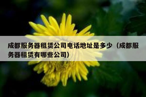 成都服务器租赁公司电话地址是多少（成都服务器租赁有哪些公司） 第1张