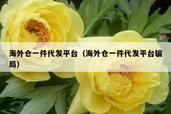 海外仓一件代发平台（海外仓一件代发平台骗局） 第1张