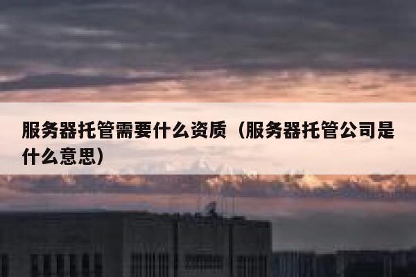 服务器托管需要什么资质（服务器托管公司是什么意思） 第1张