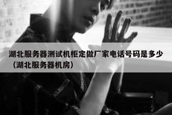 湖北服务器测试机柜定做厂家电话号码是多少（湖北服务器机房） 第1张