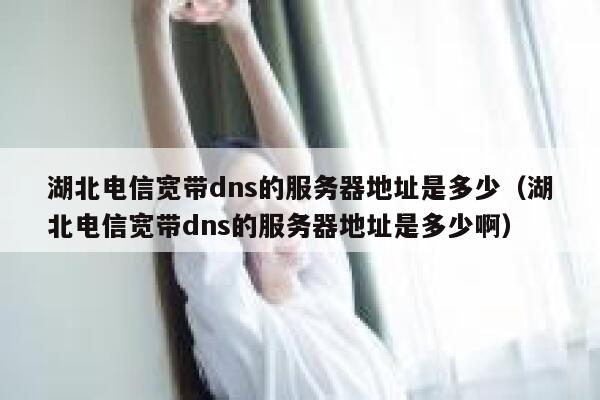 湖北电信宽带dns的服务器地址是多少（湖北电信宽带dns的服务器地址是多少啊） 第1张