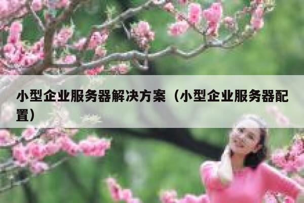 小型企业服务器解决方案（小型企业服务器配置） 第1张