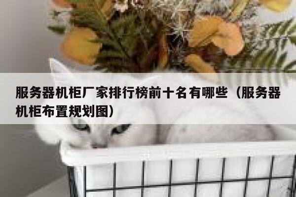 服务器机柜厂家排行榜前十名有哪些（服务器机柜布置规划图） 第1张