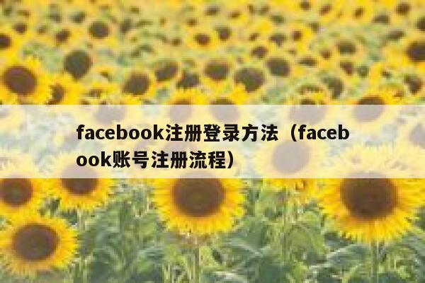 facebook注册登录方法（facebook账号注册流程） 第1张