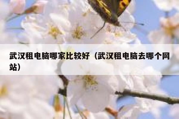 武汉租电脑哪家比较好（武汉租电脑去哪个网站） 第1张