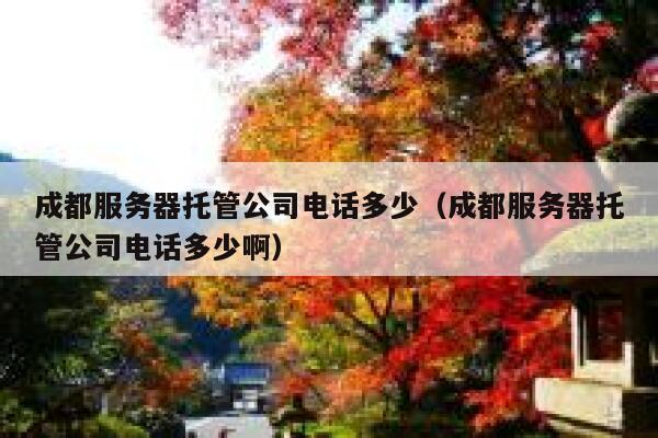 成都服务器托管公司电话多少（成都服务器托管公司电话多少啊） 第1张