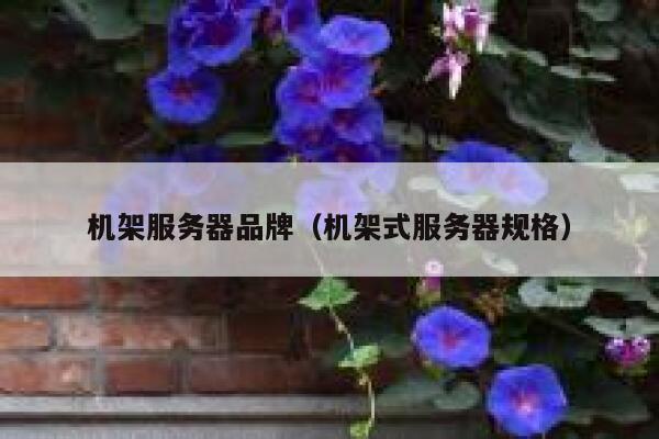 机架服务器品牌（机架式服务器规格） 第1张