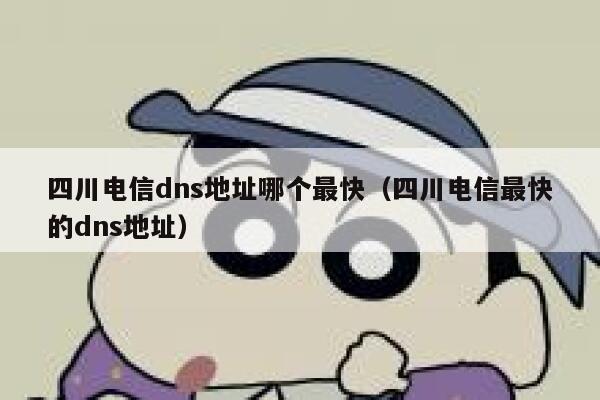四川电信dns地址哪个最快（四川电信最快的dns地址） 第1张