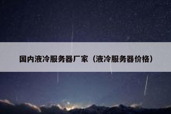 国内液冷服务器厂家（液冷服务器价格） 第1张