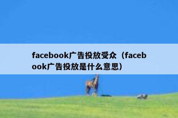 facebook广告投放受众(facebook广告投放是什么意思) 第1张 facebook广告投放受众(facebook广告投放是什么意思) 第1张
