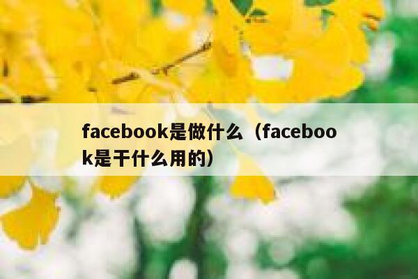 facebook是做什么(facebook是干什么用的) 第1张 facebook是做什么(facebook是干什么用的) 第1张