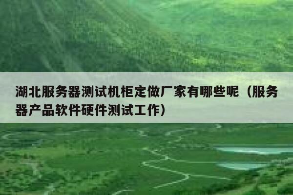 湖北服务器测试机柜定做厂家有哪些呢（服务器产品软件硬件测试工作） 第1张