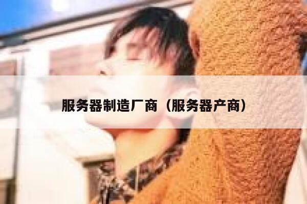 服务器制造厂商（服务器产商） 第1张
