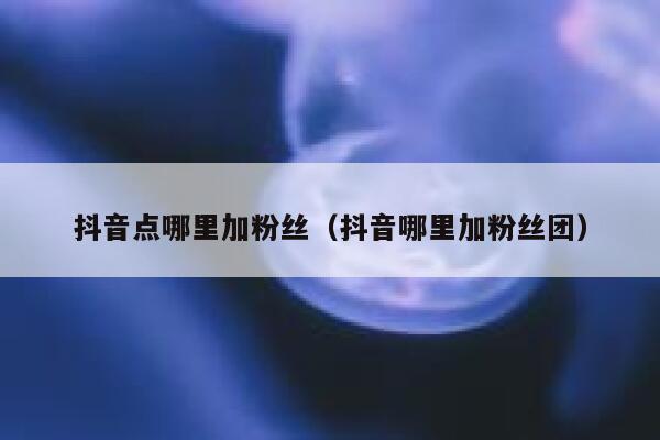 抖音点哪里加粉丝（抖音哪里加粉丝团） 第1张