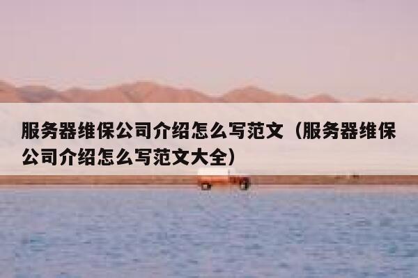 服务器维保公司介绍怎么写范文（服务器维保公司介绍怎么写范文大全） 第1张
