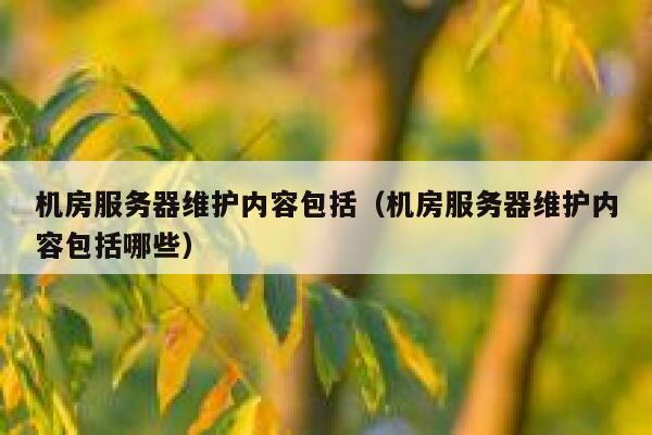机房服务器维护内容包括（机房服务器维护内容包括哪些） 第1张