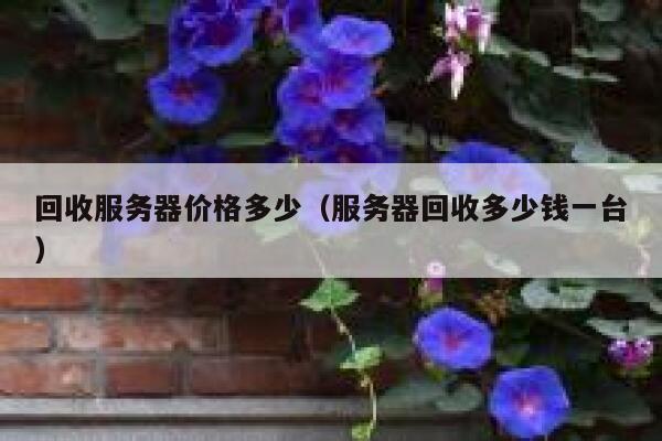 回收服务器价格多少（服务器回收多少钱一台） 第1张