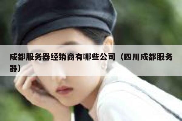 成都服务器经销商有哪些公司（四川成都服务器） 第1张