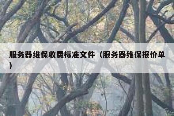 服务器维保收费标准文件（服务器维保报价单） 第1张