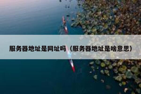 服务器地址是网址吗（服务器地址是啥意思） 第1张
