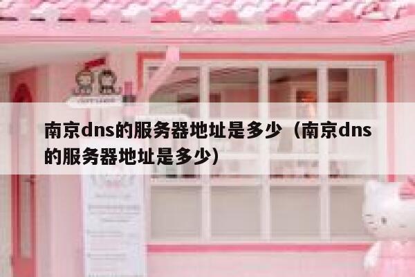 南京dns的服务器地址是多少（南京dns的服务器地址是多少） 第1张