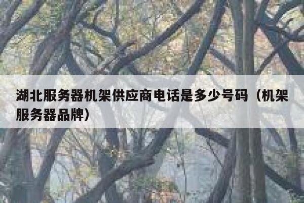 湖北服务器机架供应商电话是多少号码（机架服务器品牌） 第1张
