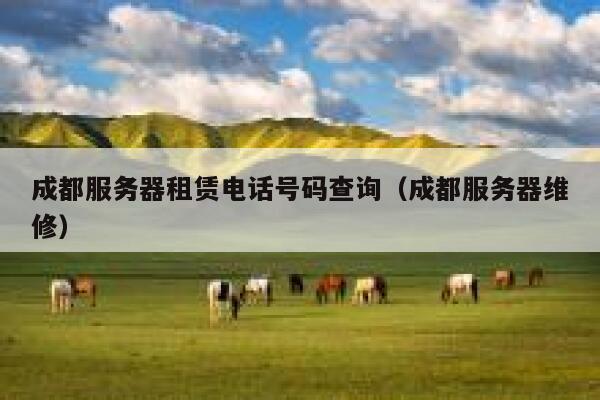 成都服务器租赁电话号码查询（成都服务器维修） 第1张