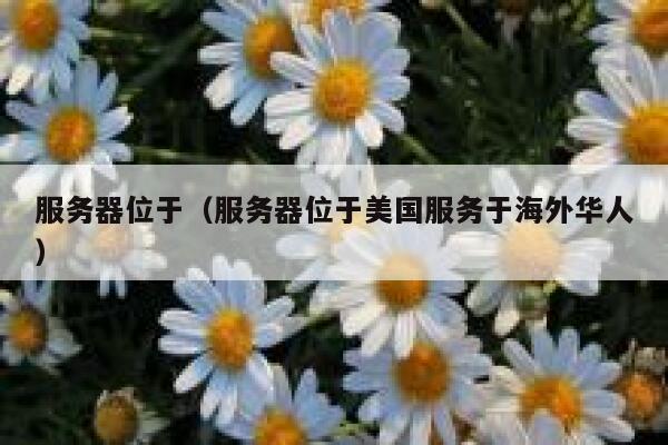 服务器位于（服务器位于美国服务于海外华人） 第1张