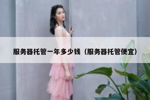 服务器托管一年多少钱（服务器托管便宜） 第1张