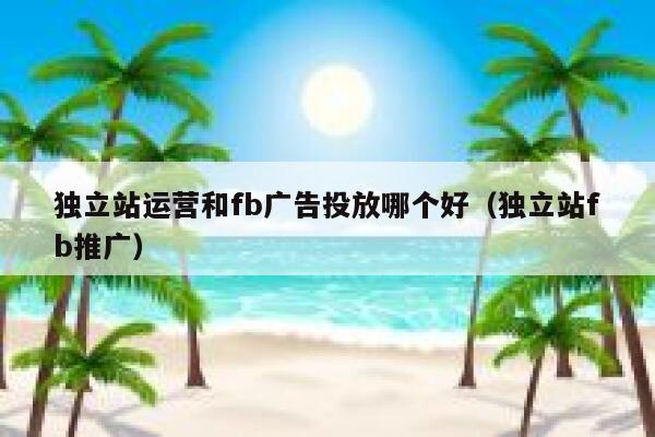 独立站运营和fb广告投放哪个好（独立站fb推广） 第1张