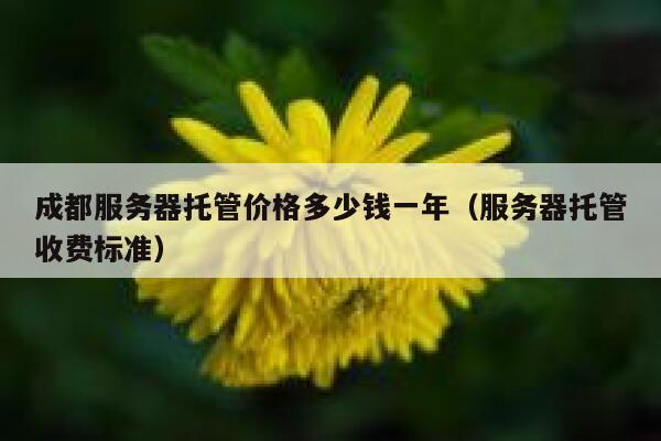 成都服务器托管价格多少钱一年（服务器托管收费标准） 第1张